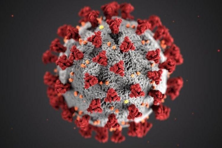 ویروس کرونا چیست و چگونه انتقال می‌یابد؟